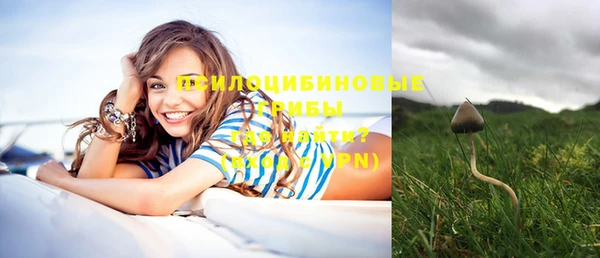 ГАЛЛЮЦИНОГЕННЫЕ ГРИБЫ Алексин