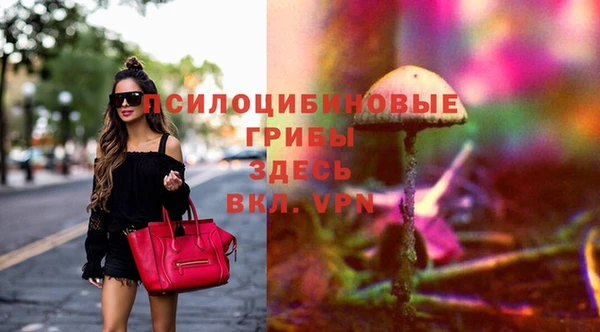 прущий лед Абаза