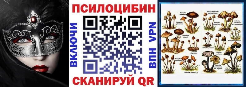 Галлюциногенные грибы Psilocybe  Чухлома 